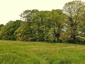 Terrain à lotir. Proximité Futuroscope 5 762 m²