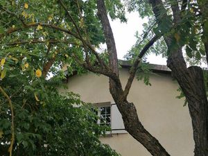 Vente maison 10 pièces 465 m² Parisot (81310)