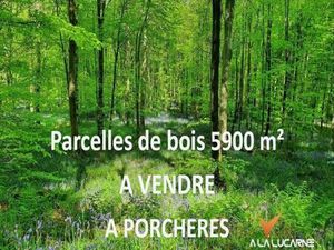 Annonce vente terrain terrain de 5899m2 à Porcheres (33660) - ParuVendu.fr ref 99277923121