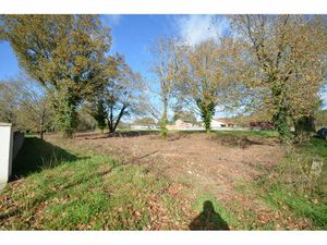 Annonce vente terrain terrain de 3362m2 à Porcheres (33660) - ParuVendu.fr ref 99277923121