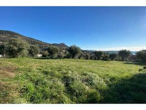 Terrain de 1001 m2 - Vence  Provence-Alpes-Côte d'Azur