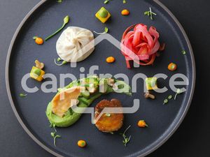 fonds de commerce à vendre LA SALLE LES ALPES 4 pièce(s) 98m2 650 000€