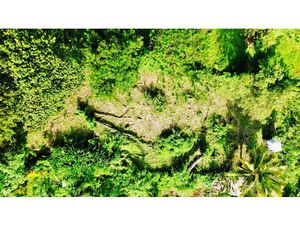 Vente terrain 864 m² à Sainte luce (97228)  105 600 €