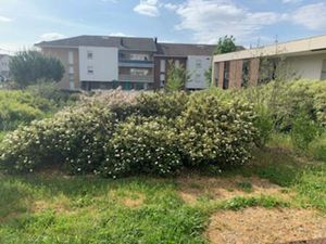 Appartement T4 Haut Bassens