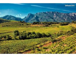 Terrain 3 629 m² Saint Chinian