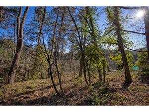 Annonce terrain à vendre