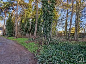 Bouwgrond te koop in Tremelo!