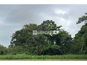 Terrain Remire-Montjoly à vendre