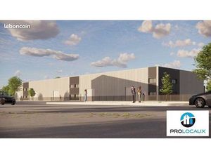 Local d'activité 1 000 m²