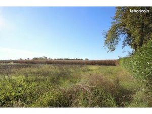 Terrain 1 528 m² Uzein