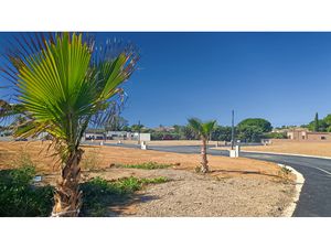 Proximité de Marseillan   Pomérols  beau terrain constructible et viabilisé de 360 m2