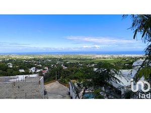 Vente terrain 1600 m² à Saint-Louis (97450)  248 000 €