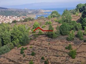 Vente terrain 8975 m² à Banyuls-sur-Mer (66650)  19 000 €