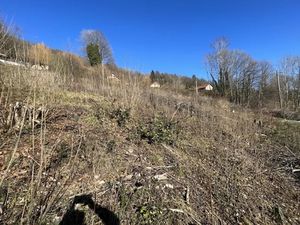 Vente terrain 1560 m² à Saulxures-sur-Moselotte (88290)  30 000 €