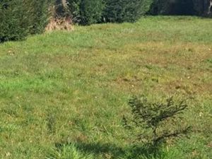 Vente terrain 1209 m² à Saint-Jean-de-Braye (45800)  110 000 €