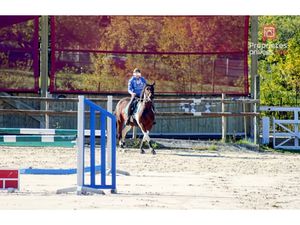 55300 VARNEVIILLE /Propriété équestre MEUSE/Maison 237m2/+21ha/30boxes/750000HAI