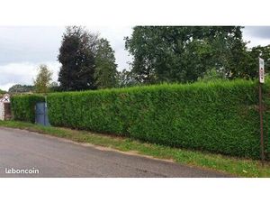 Terrain 1 171 m² Vernou La Celle Sur Seine