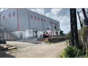 Location locaux professionnels 175 m² à Ducos (97224)  3 500 €