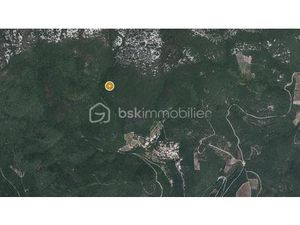 Terrain boisé plus de 4 hectares