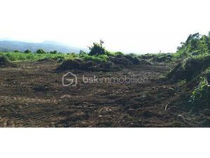 Lotissement de 251 m² à Bras-Panon