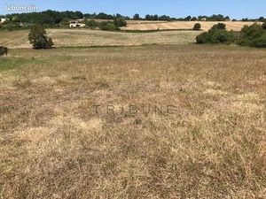 Terrain 14300 m² Sauvagnas