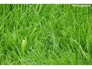 Terrain 1 688 m² Verjux