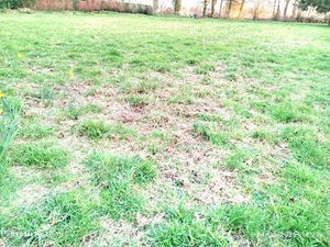 TERRAIN viabilisé SAINT BRICE EN COGLES