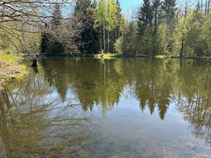 Vente terrain 21502 m² Servance-Miellin (70440)