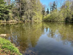 Vente terrain 6856 m² Servance-Miellin (70440)