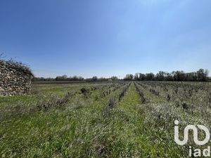 Vente Terrain agricole 11 765 m²
