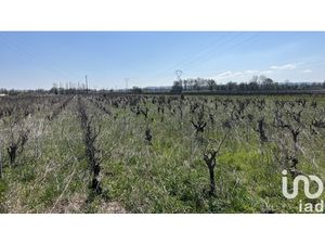 Vente Terrain agricole 2 667 m²