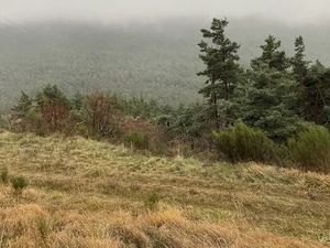 Vente terrain 3200 m² à Séranon (06750)  25 000 €