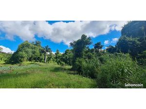 Terrain 15 220 m² Saint Claude