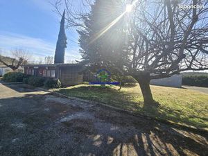 Local 242 m² Pont-du-Casse