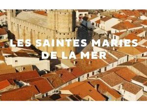 Terrain Saintes-Maries-de-la-Mer m² T- à vendre  235 000 €