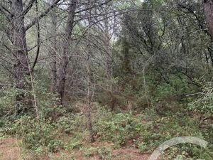 Terrain 1 550 m² Aujargues