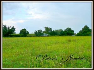 Vente terrain 1888 m² à Sévignacq (64160)  31 000 €