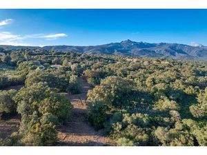 Terrain de 8565 m2 - Pianottoli-Caldarello  France
