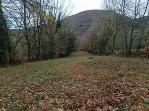 Location terrain montagne