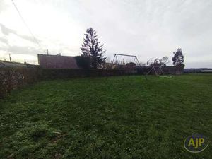 Vente Terrain à Tiffauges (85130) : à vendre / 785m² Tiffauges