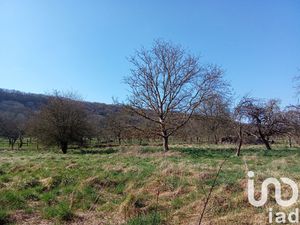 Vente Terrain à bâtir 1 715 m²