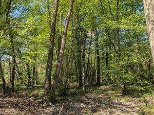 Terrain à vendre GUIGNES 7253m2 16 000€