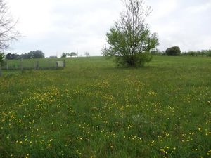 Vente terrain 590 m² à Hericourt (70400)  77 600 €