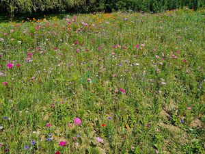 en vente Terrain constructible 20 86 ares – 60 000 € |Winkel