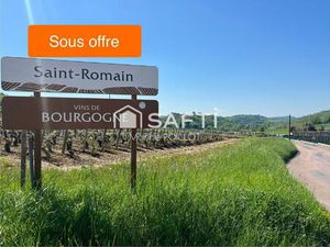 Maison d'habitation élevée sur cave voutée 5 minutes MEURSAULT  10 minutes NOLAY  15 minut