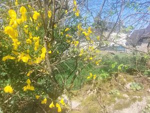 Vente terrain 422 m² à Loguivy-Plougras (22780)  39 000 €