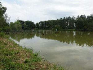 Propriété equestre 7 pièce(s)