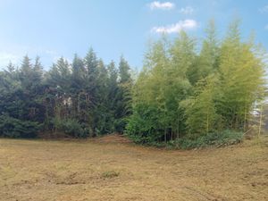 Vente terrain 450 m² à Dardilly (69570)  149 000 €