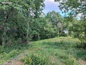 Terrain 6 215 m² Mirande