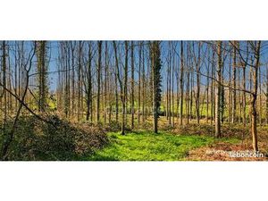 Terrain 18 756 m² Pance